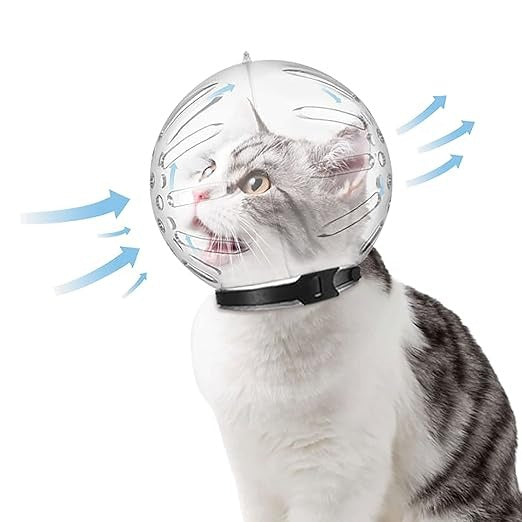 Cat Muzzle Transparent