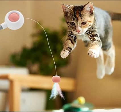 Holy Paws Retractable Cat Teasing Stick with Laser Light and Replacement Head & Cat Feather Toy