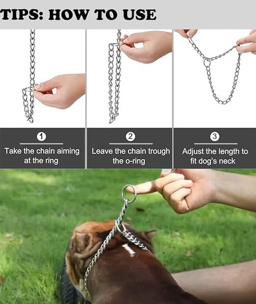 Smarty Pet Stainless Steel Choke Chain Collar for Dogs
