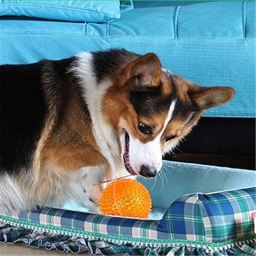 EEToys Squeaky Elastic Spike Massage Toy Ball For Dogs