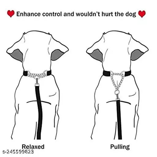 Nunbell Dog Nylon Basic Collar with Half Stainless Steel Choke Chain
