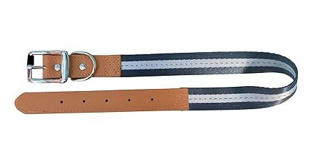 Nunbell Nylon + Leather Dog Collar