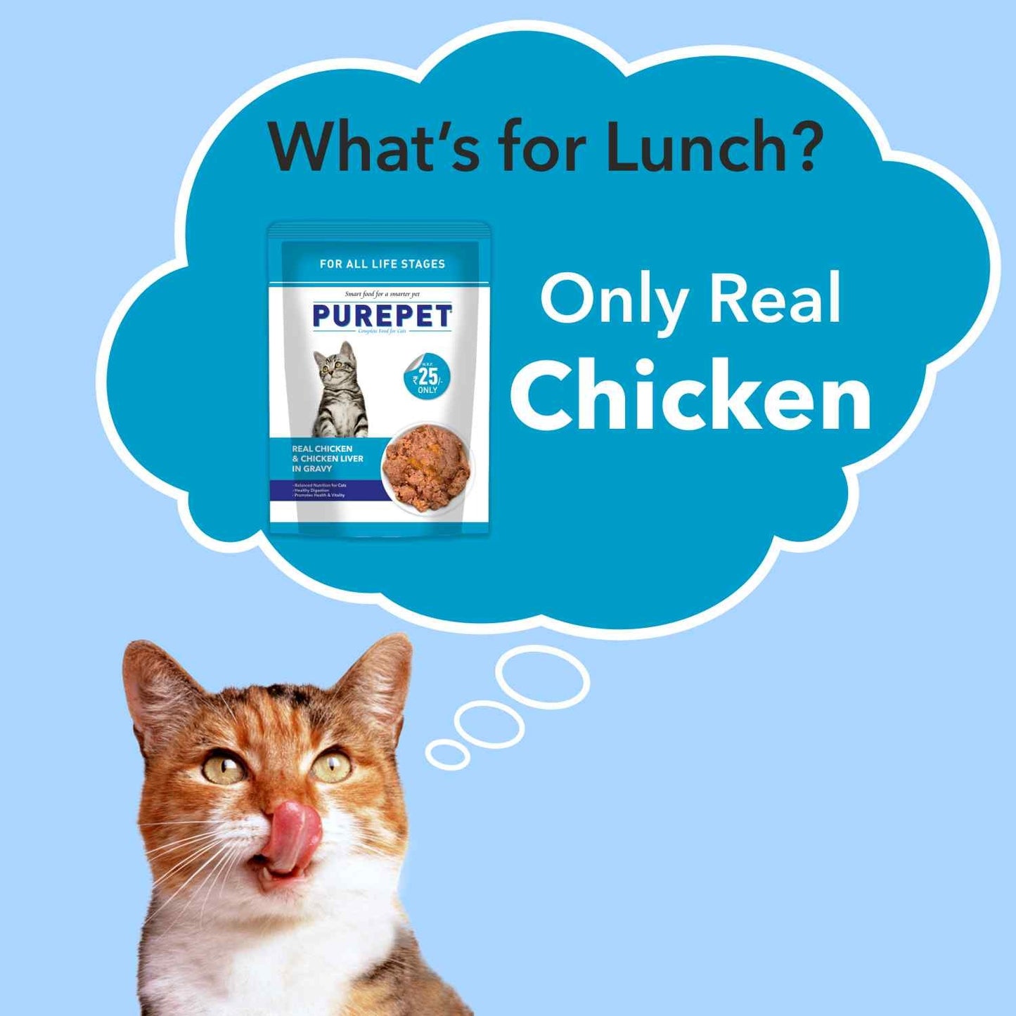 Purepet Real Ocean Fish and Chicken Liver in Gravy Kitten Wet Food