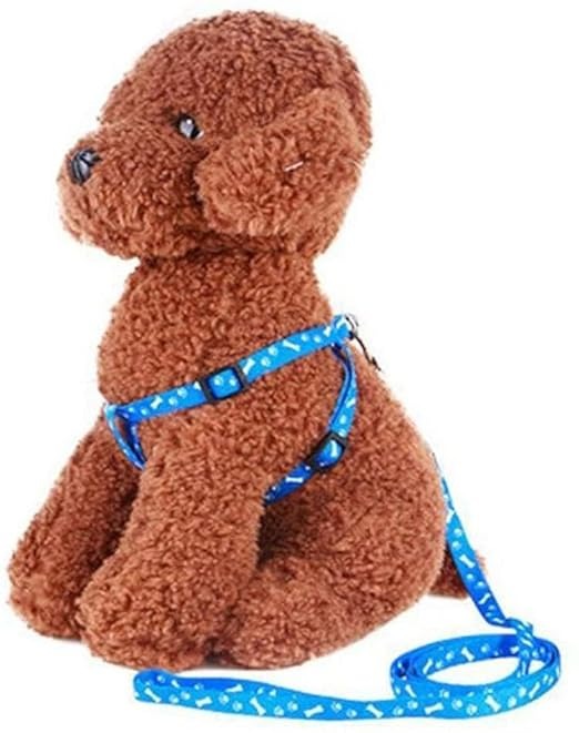 Ribbon Stitch Leash & Harness For Cat & Dog