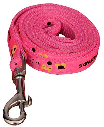 Ribbon Stitched Leash & Collar with Bell