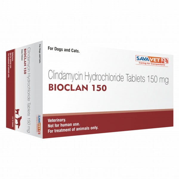 Savavet Bioclan (Clindamycin) Tablet for Dogs and Cats (Pack of 10 tablets)