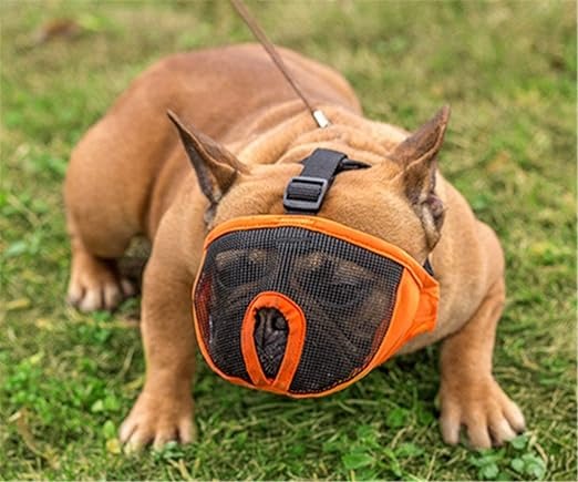 Short Snout Muzzle for Dogs