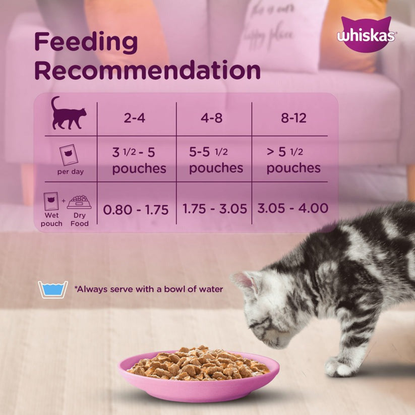 Whiskas Mackerel In Jelly Wet Food For Junior (2-12 Months) Kitten