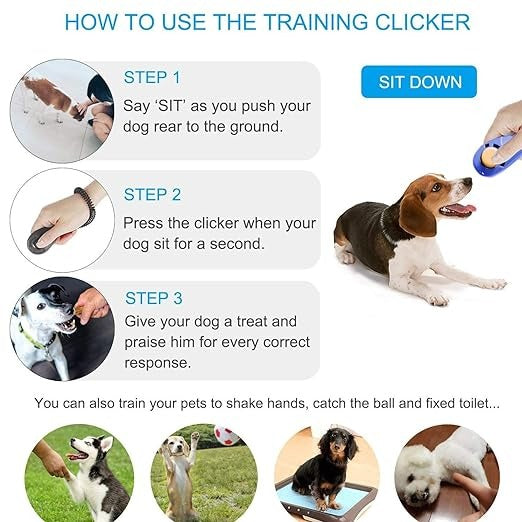 Clicker for Pet Training