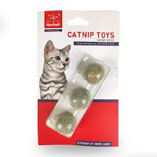 Catnip Ball Toy