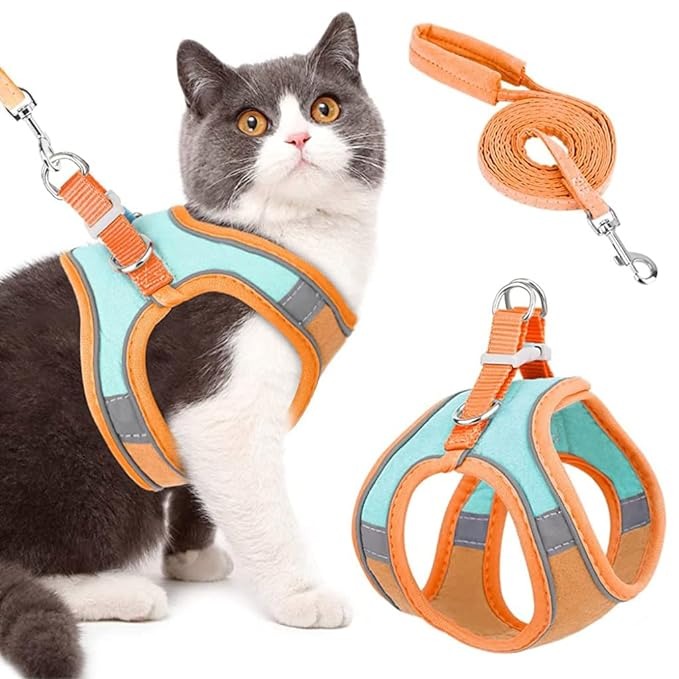 Cat Collars, Leashes and Harnesses