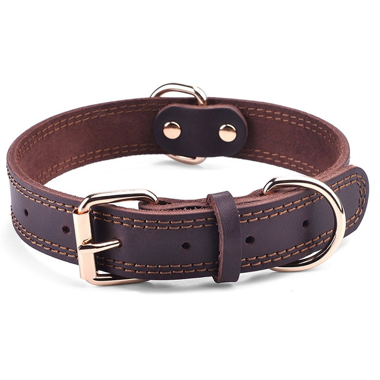 Dog Collars, Leashes and Harnesses