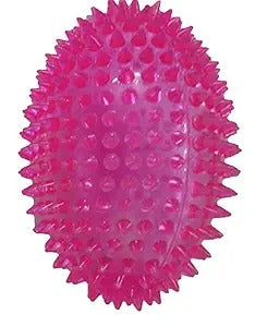 Holy Paws Fun and Play Spike Rugby Toy for Dogs