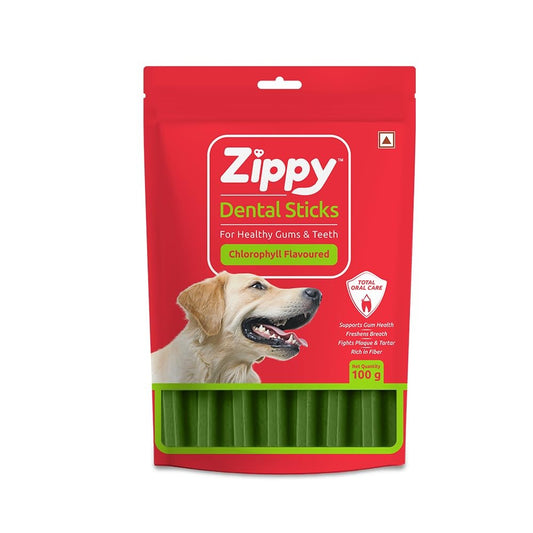 Zippy Dental Stick Chlorophyll Flavour