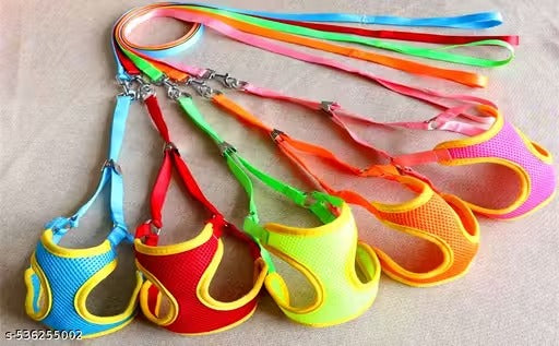 Leash and Cushioned Harness Set