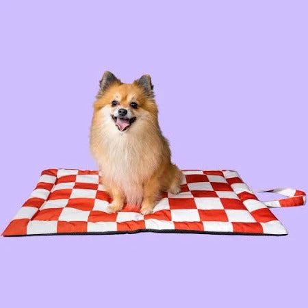 Anti Skid Cozy Mat for Dogs and Cats