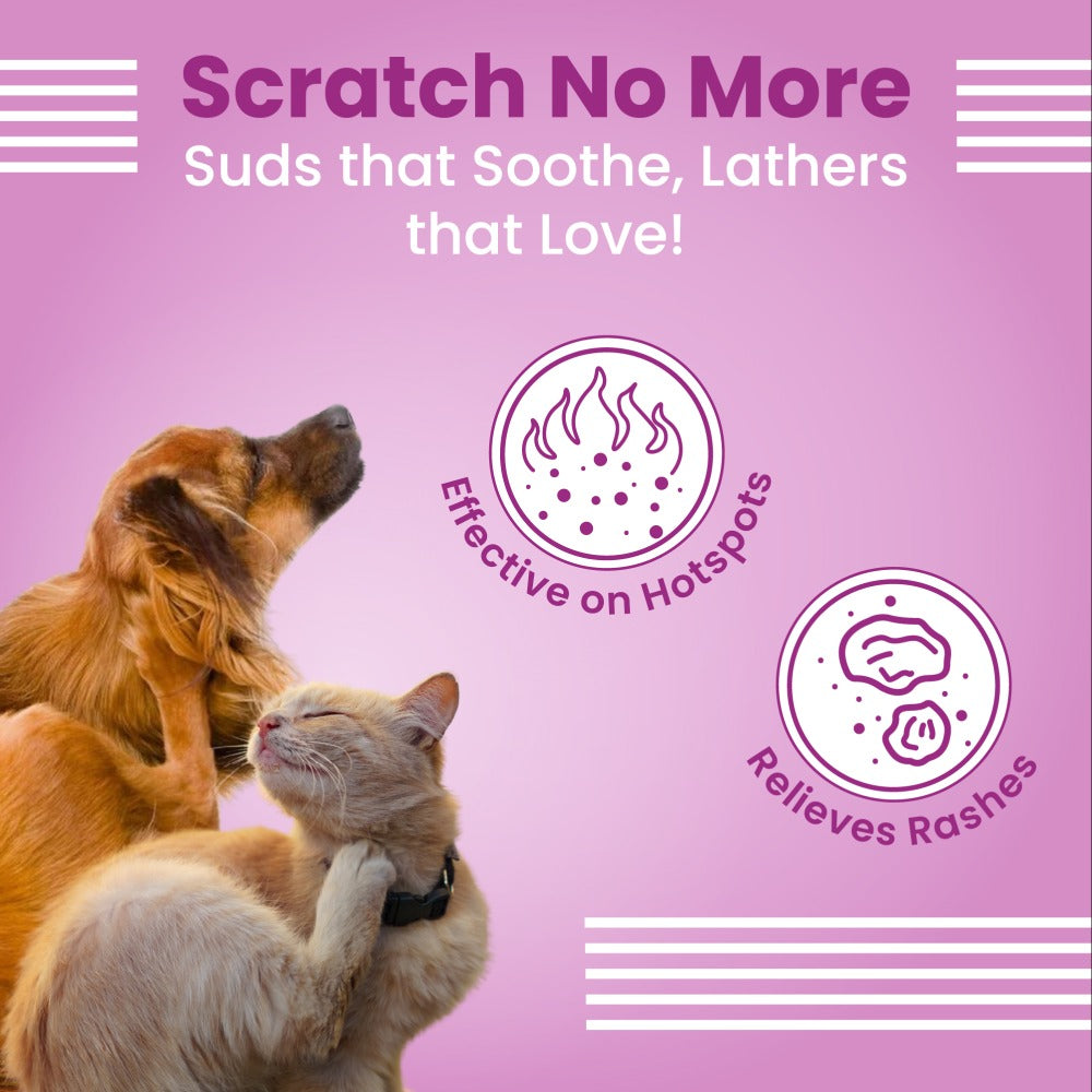 Bark Out Loud Allergy and Itch Relief Shampoo for Dogs and Cats