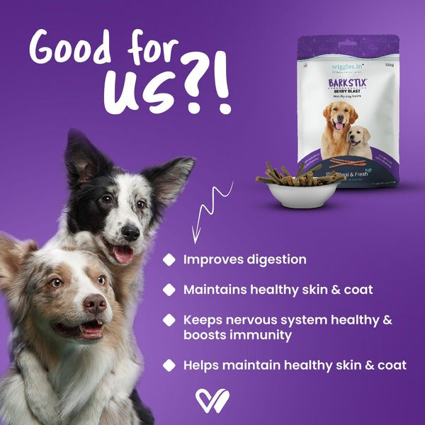 Wiggles Barkstix Dog Treats for Training Adult & Puppies (Berry Blast) Flavour