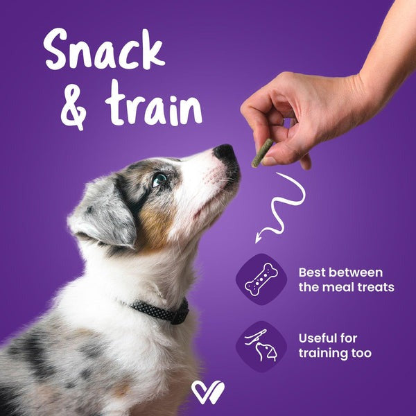 Wiggles Barkstix Dog Treats for Training Adult & Puppies (Berry Blast) Flavour