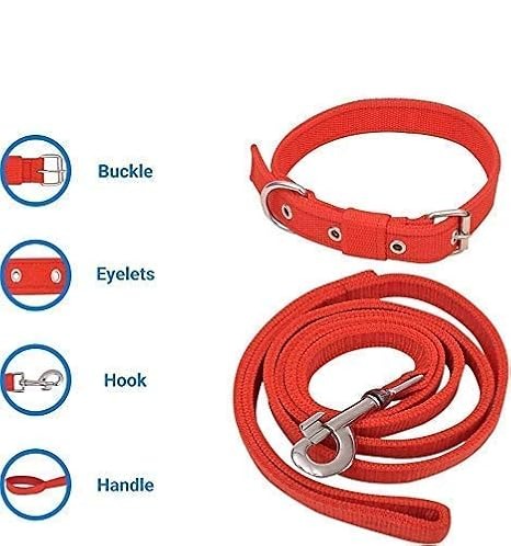 Basic Nylon Collar and Leash Set