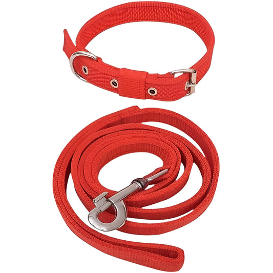 Basic Nylon Collar and Leash Set