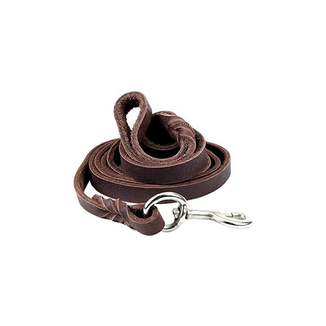 Brown Leather Leash for Dogs