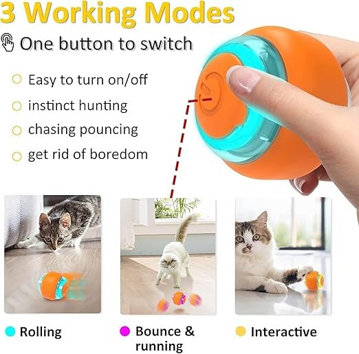 Cat Smart Toy Rest and Roll Ball