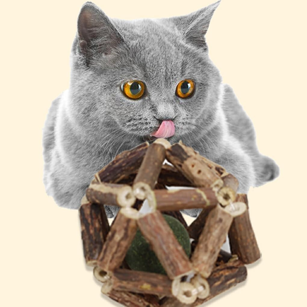 Catnip in Willow Toy for Cats