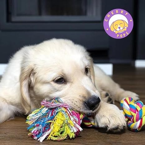 Cotton Rope Chew Toy for dogs 2 knots Heavy