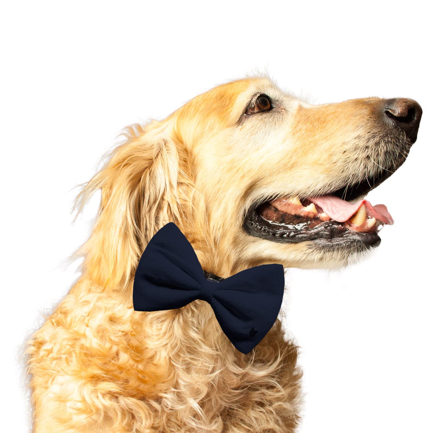 Dog Bow Tie with Elastic Neck Band