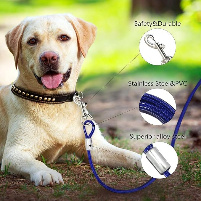 Dog Tie Out Cable / Leash