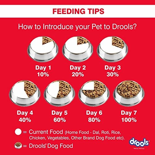 Drools Chicken and Egg Puppy Dog Dry Food