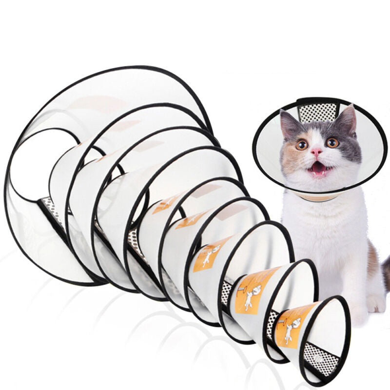 SP Elizabethan Collar (E Collar) for Cats and Dogs