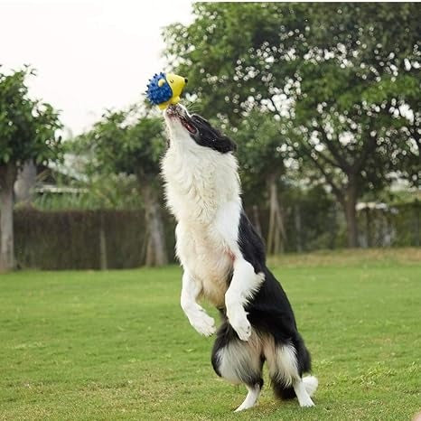 EE Toys Latex Squeaky Rubber Hedgehog Shape Dog Toy