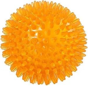 EEToys Squeaky Elastic Spike Massage Toy Ball For Dogs