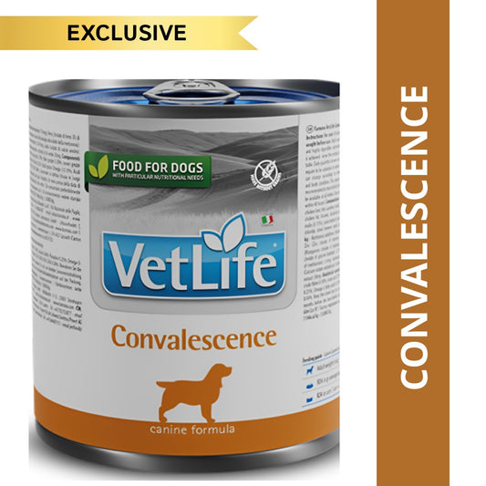 Farmina VetLife Convalescence Canine Formula Dog Wet Food