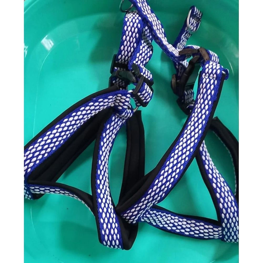 Generic Padded Harness