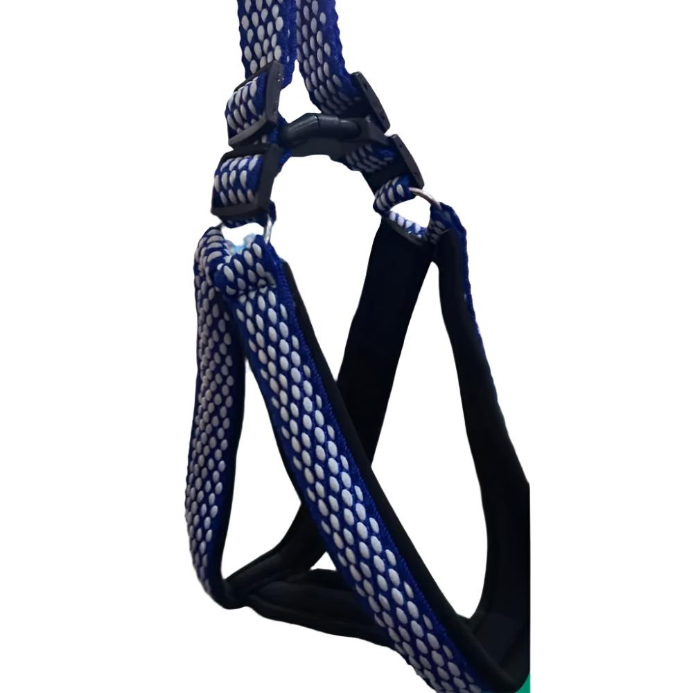 Generic Padded Harness