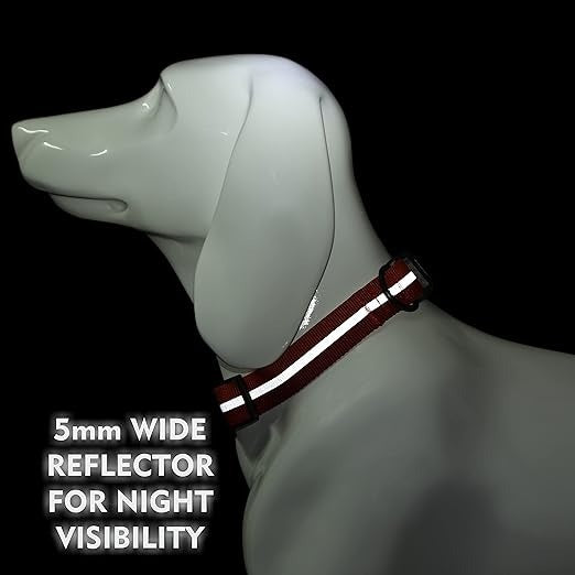 Glucklich Everyday Reflective Dog Collar