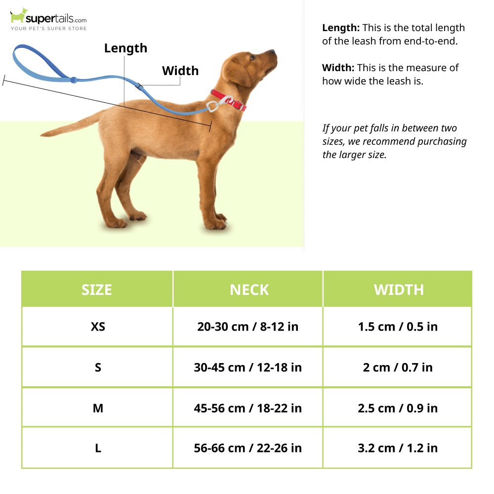 Glucklich Printed Collar for Dogs