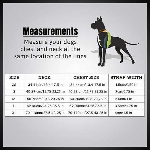 Holy Paws Rust Proof Mesh Harness