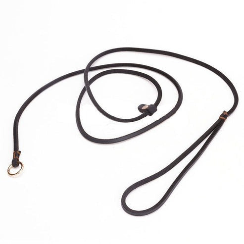 Leather Slip Leash with Metal Ring for Dogs