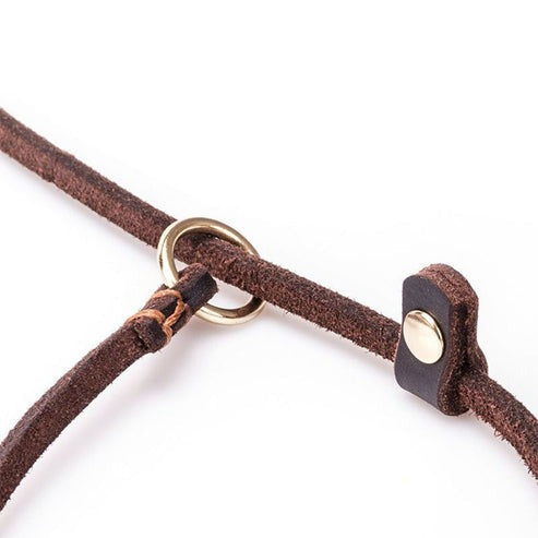 Leather Slip Leash with Metal Ring for Dogs