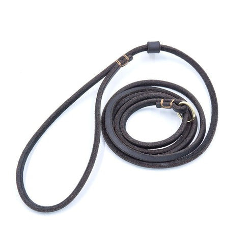 Leather Slip Leash with Metal Ring for Dogs