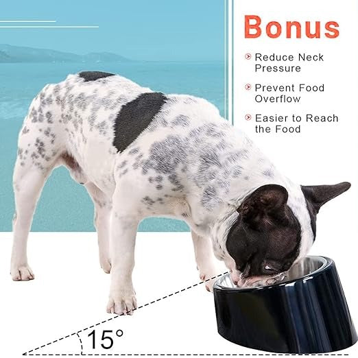 Melamine + Stainless Steel Slant Bowl for Cats and Dogs