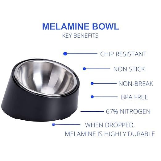 Melamine + Stainless Steel Slant Bowl for Cats and Dogs