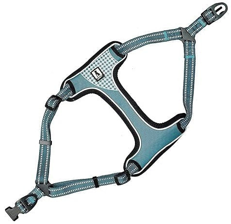 Nunbell Flamingo Chest Harness with Reflective Line