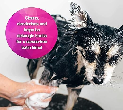 Oh My Dog De-tangling  l Ultimate Pet Shampoo (Paraben Free)