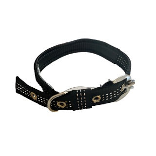 Padded Dog Collar