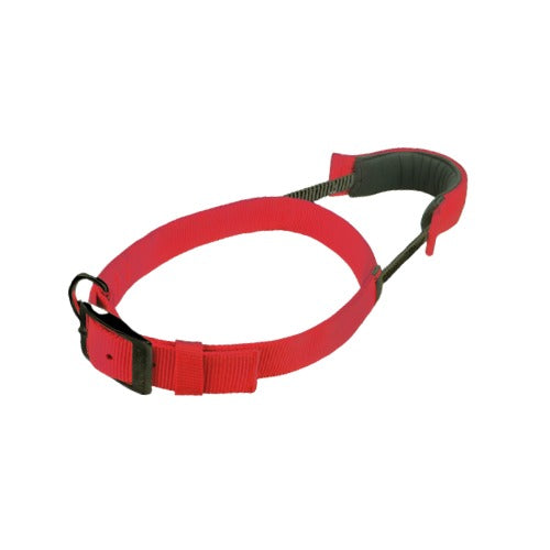 Patento Pet Collar with Integrated Short Leash